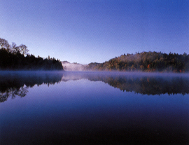 澄み切った青空の下水面上に薄い朝靄がかかり周囲の林が鏡のように写っている幻想的な写真