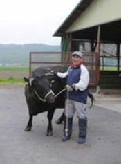 一人のおじさんと一頭の牛が一緒に写っている写真