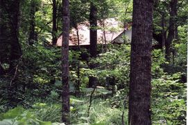 1軒の茶色い木造の家が森の中の奥地に建っている外観の写真