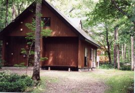 1軒の茶色い木造の家が森の中に建っている外観の写真