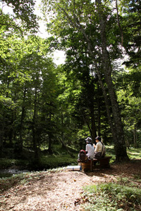 奥に小川が流れており手前に設置されたベンチに2人が腰掛け森林セラピーをしている様子の写真