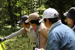 森の中で3人の参加者が1人の案内人が指さしながらお話しを聞いている様子の写真