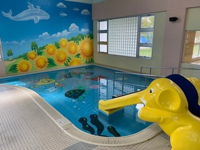 手前にプールに向かって滑ることができる黄色いゾウのすべり台がある幼児用プールの写真