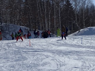 林を背景に数名がゲレンデでスキーを行なっているファミリースキー場の風景の写真