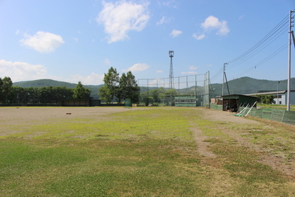 手前に芝の外野があり奥にバックネットが見える達美野球場の風景写真